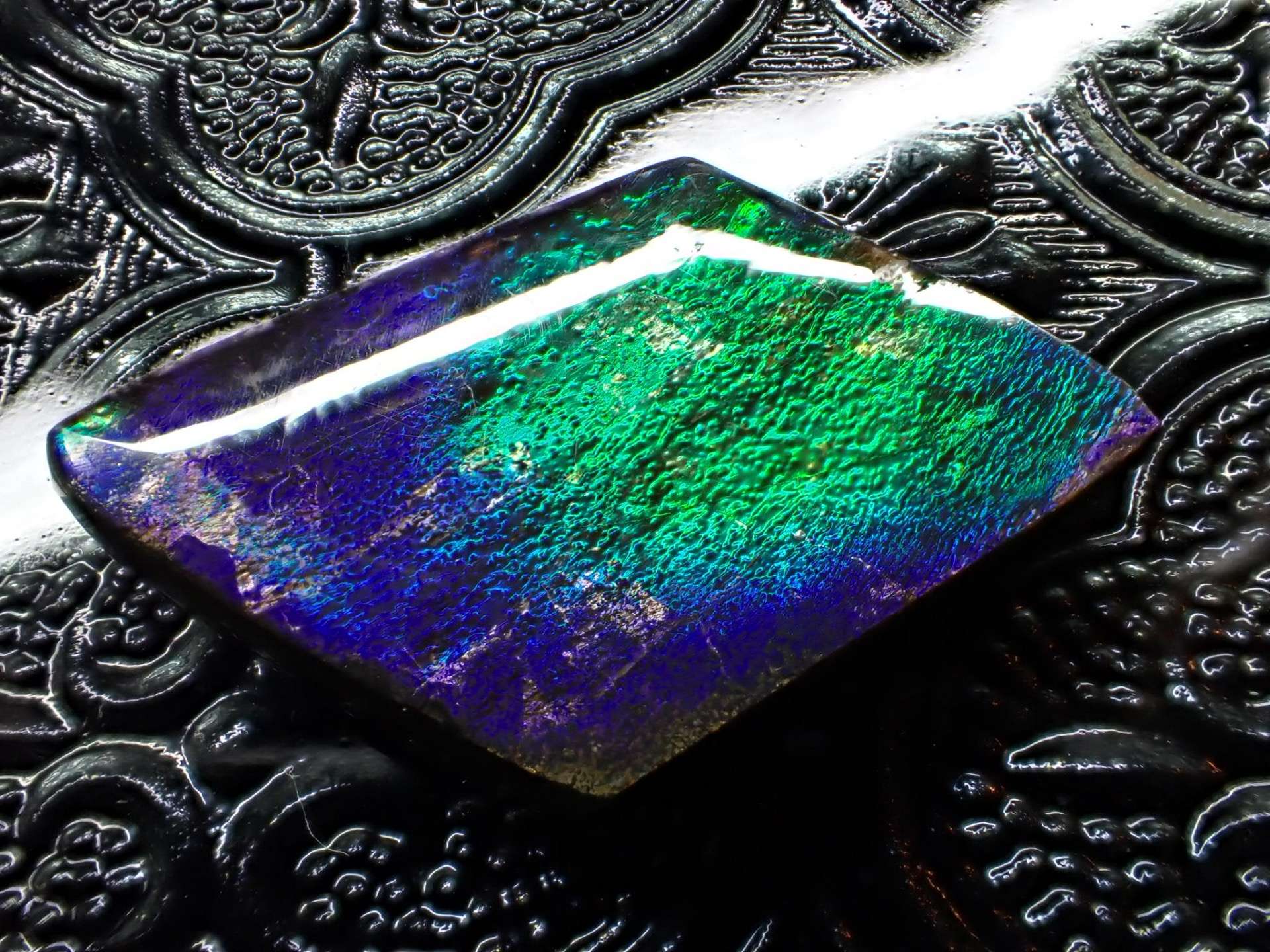 7000万年前のアンモナイトが、なぜ虹色の宝石になるのか | ブログ
