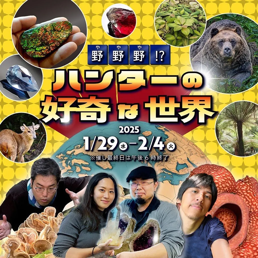 博多で自然を味わい尽くす！鉱物、植物、野食の異色コラボ「野野野！？ハンターの好奇な世界」へようこそ